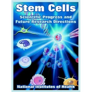AScientific developments have revealed that adult stem cells derived from the bone marrow, travel throughout the body, and act to support optimal organ and tissue function.